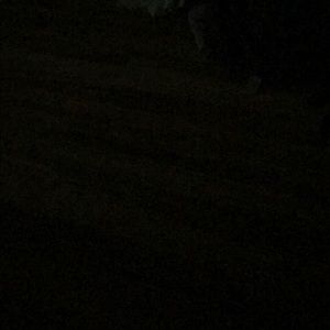 Meet your Posher, Shae